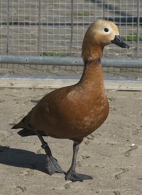 仅不断完善