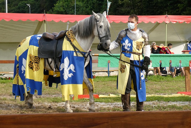 斯作为一个 斯作为一个