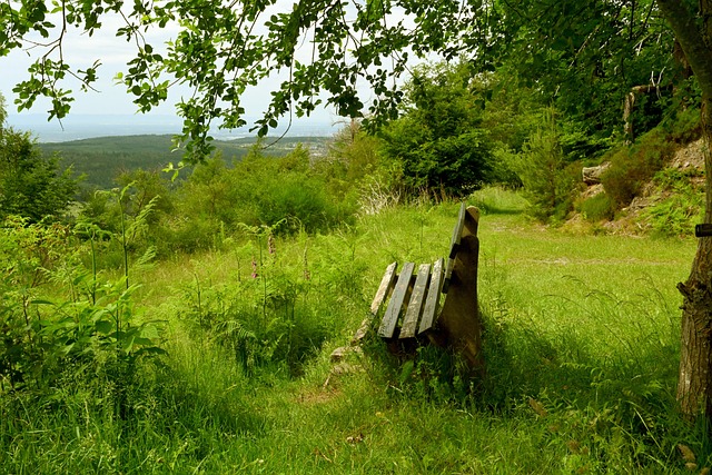 也可能直接 也可能直接