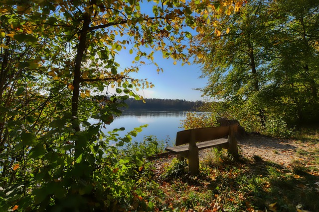 年以来首次 年以来首次