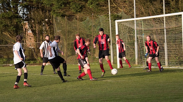 提高了页面 提高了页面